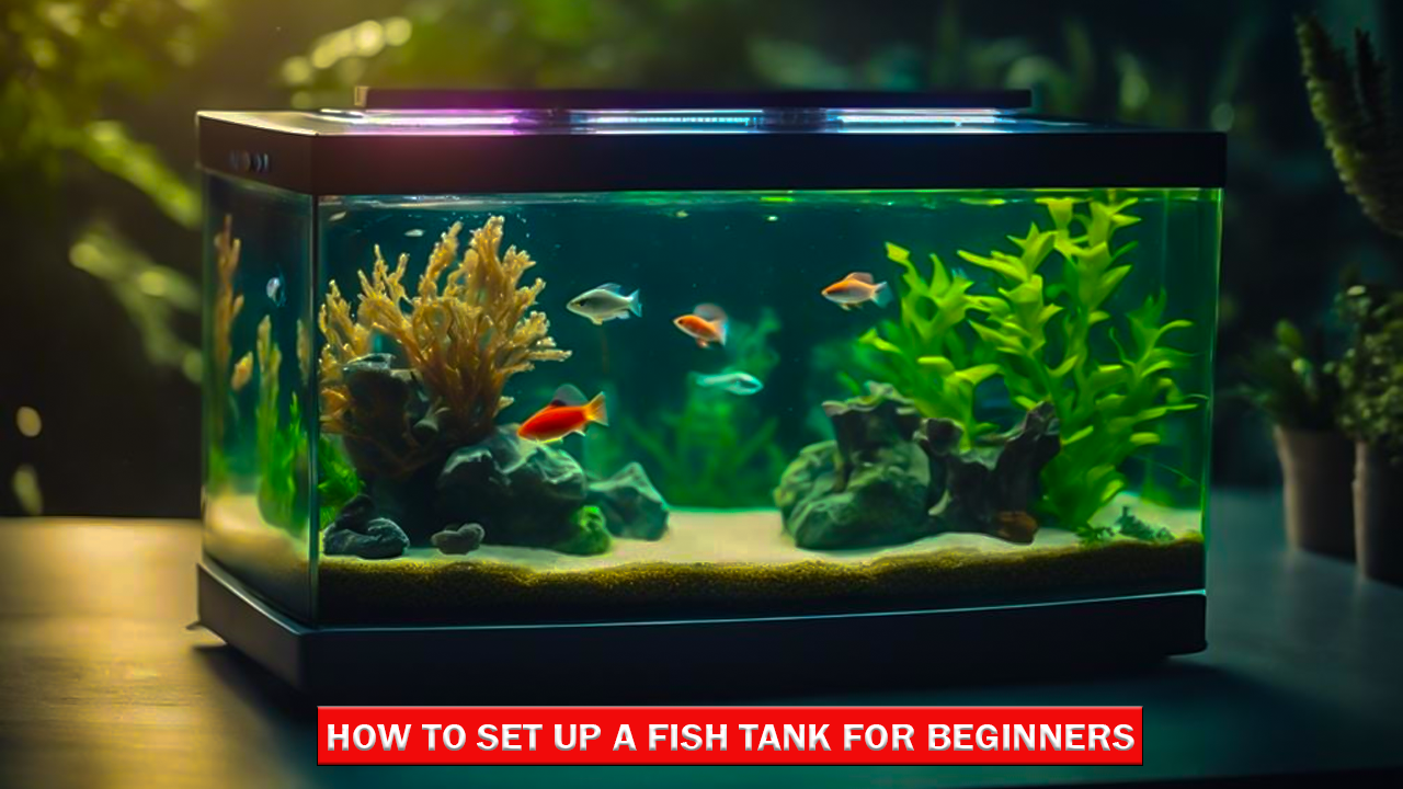 Gas Bubble Disease in Fish: Treatment and Prevention