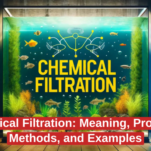 Chemical Filtration: Meaning, Process, Methods, and Examples