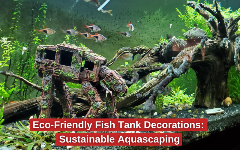 Eco-Friendly Fish Tank Decorations