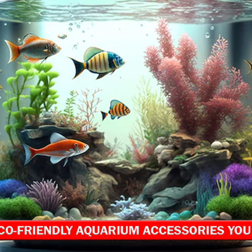 10 Eco-Friendly Aquarium Accessories You Need